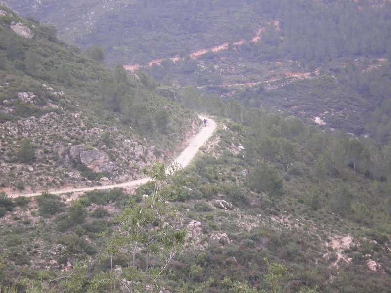 P6150564 [800x600]_JPG